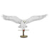 Metal Earth Harry Potter Hedwig Premium Steel Model Kit