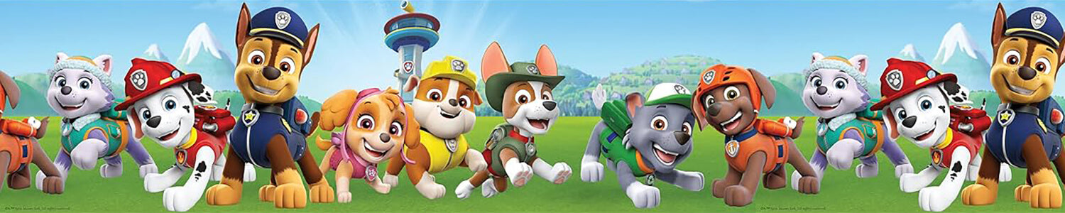 PAW Patrol toys