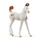 Schleich Horse Club Marwari Foal