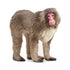 Schleich Wild Life Japanese Macaque Figure