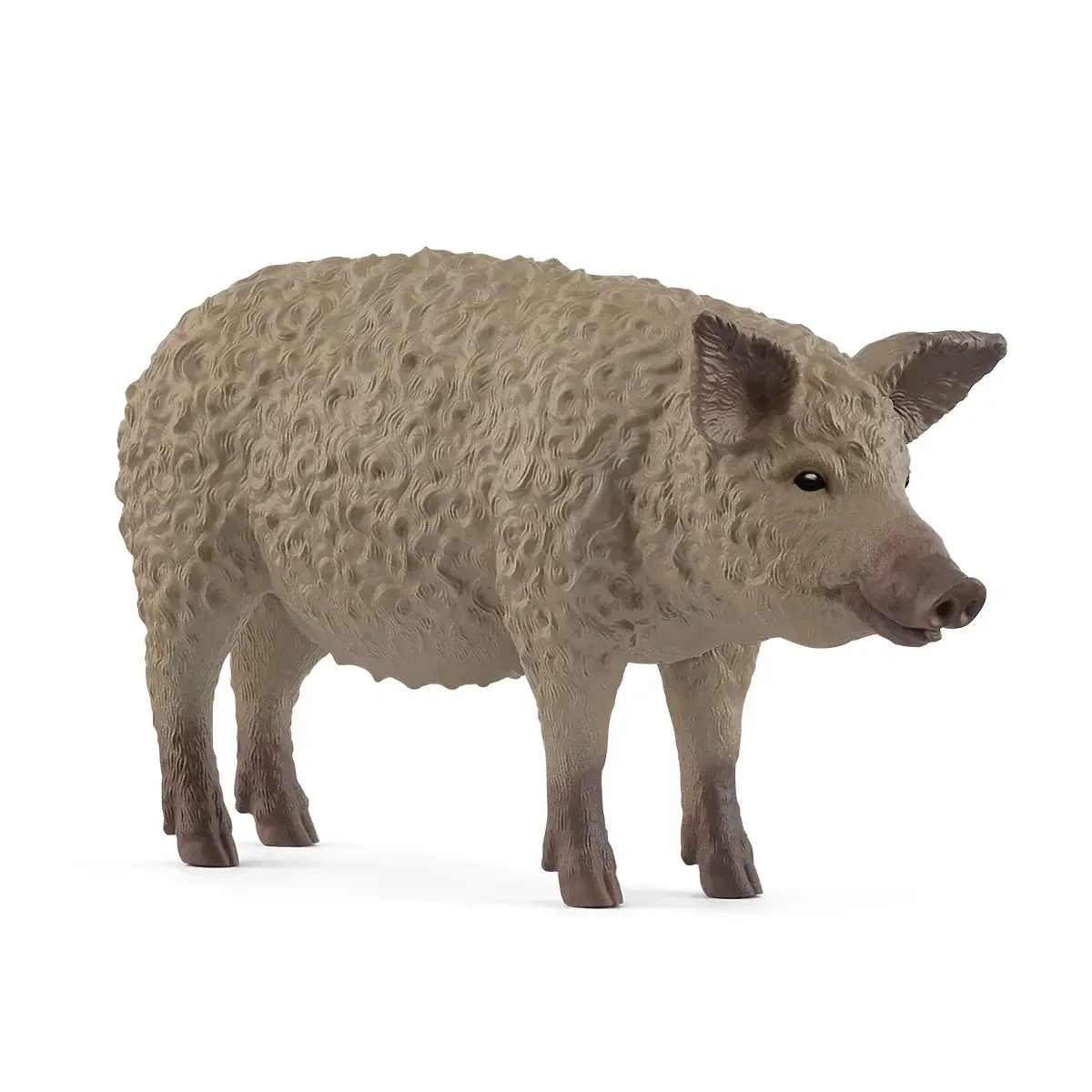 Schliech Farm World Mangalica Pig