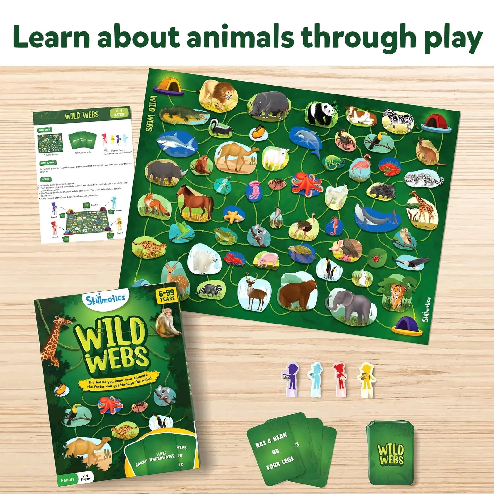 Wild Webs Card Game