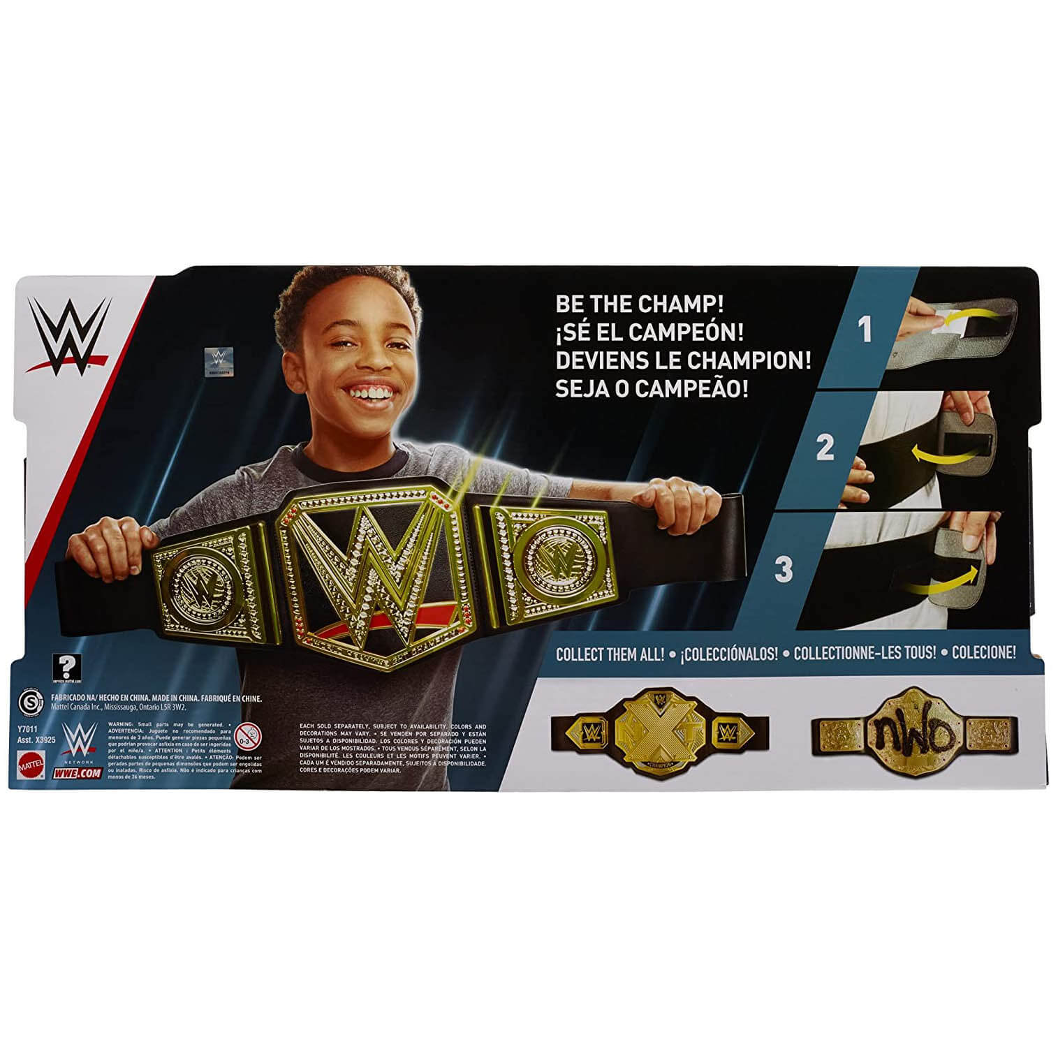 WWE Championship Belt