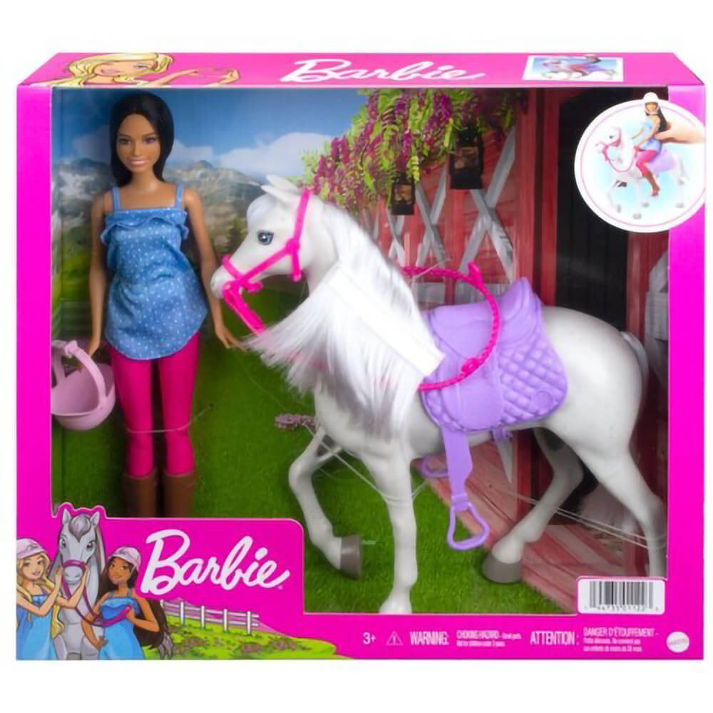 Barbie Doll and Horse Playset with Accessories