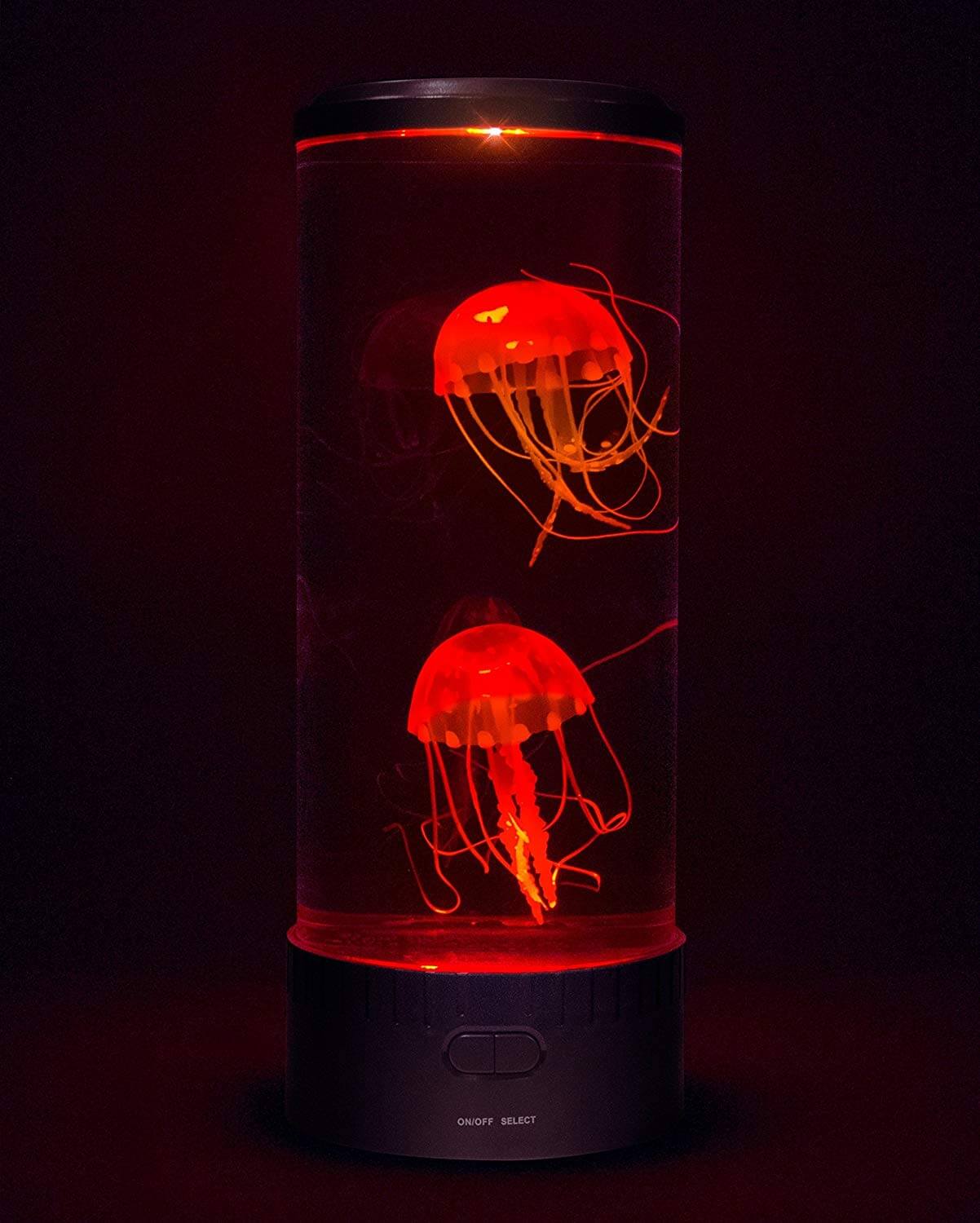 Front view of the red jellyfish.