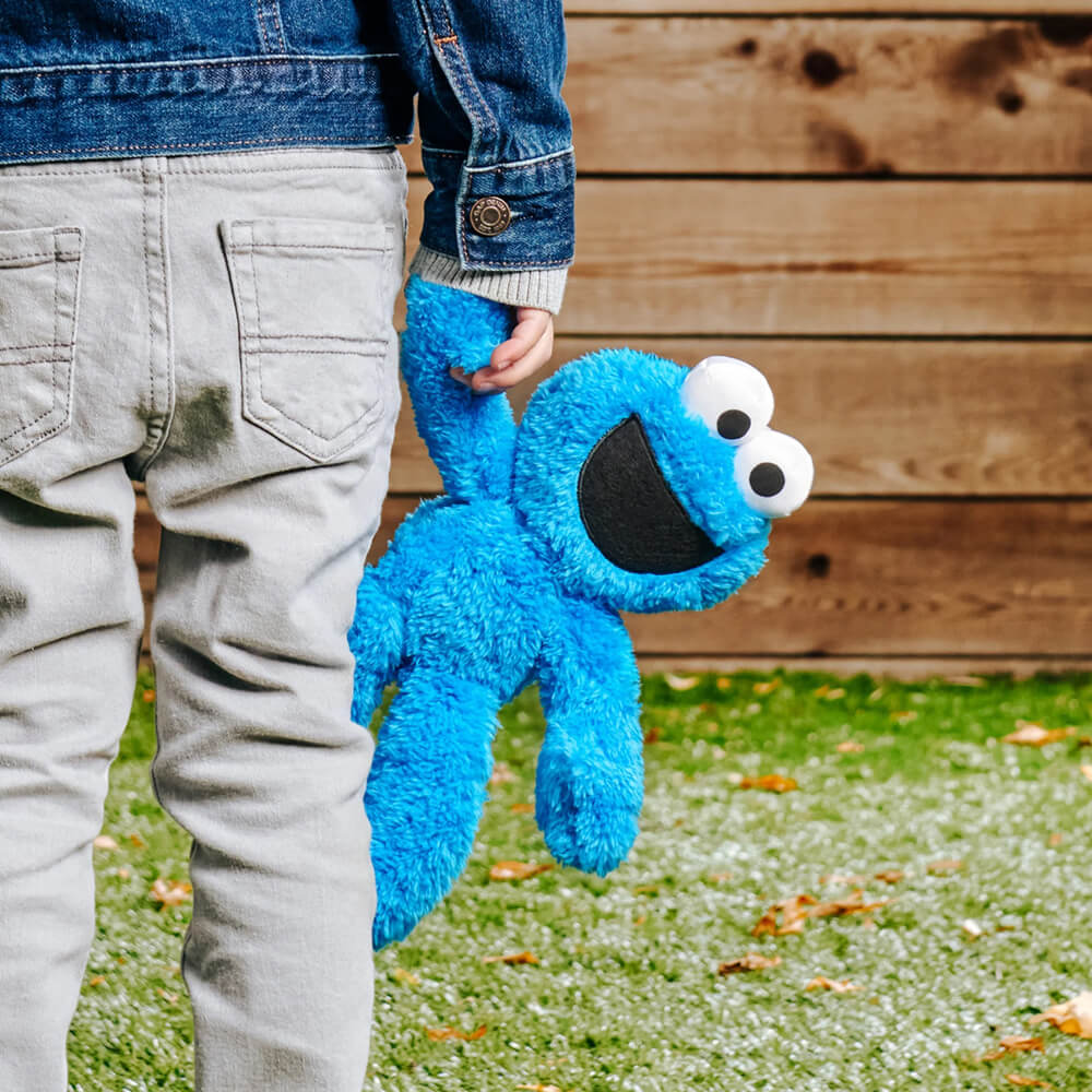 Sesame Street Mini Plush Cookie Monster Doll: 10-inch Cookie Monster Toy  for Toddlers and Preschoolers, Toy for 1 Year Olds and Up - Toys 4 U