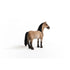 Schleich Horse Club Criollo Definitivo Mare (13948)