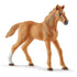 Schleich Horse Club Horse Club Hannah’S Guest Horses with Ruby The Dog Playset