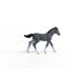 Schleich Horse Club Trakehner Foal (13944)