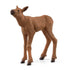 Schleich Wild Life Moose Calf  (42629)