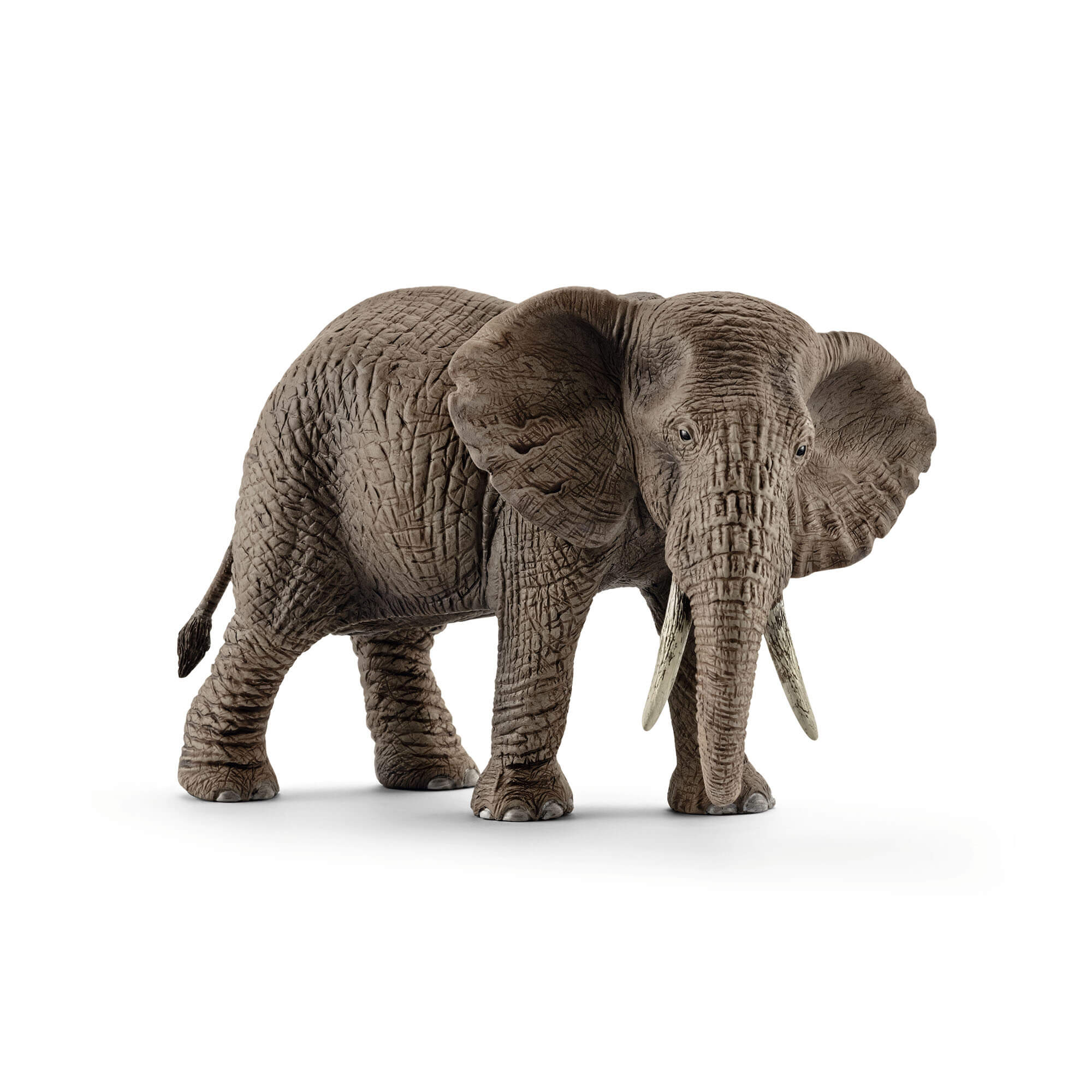 Schleich Wild Life Female African Elephant Animal Figure