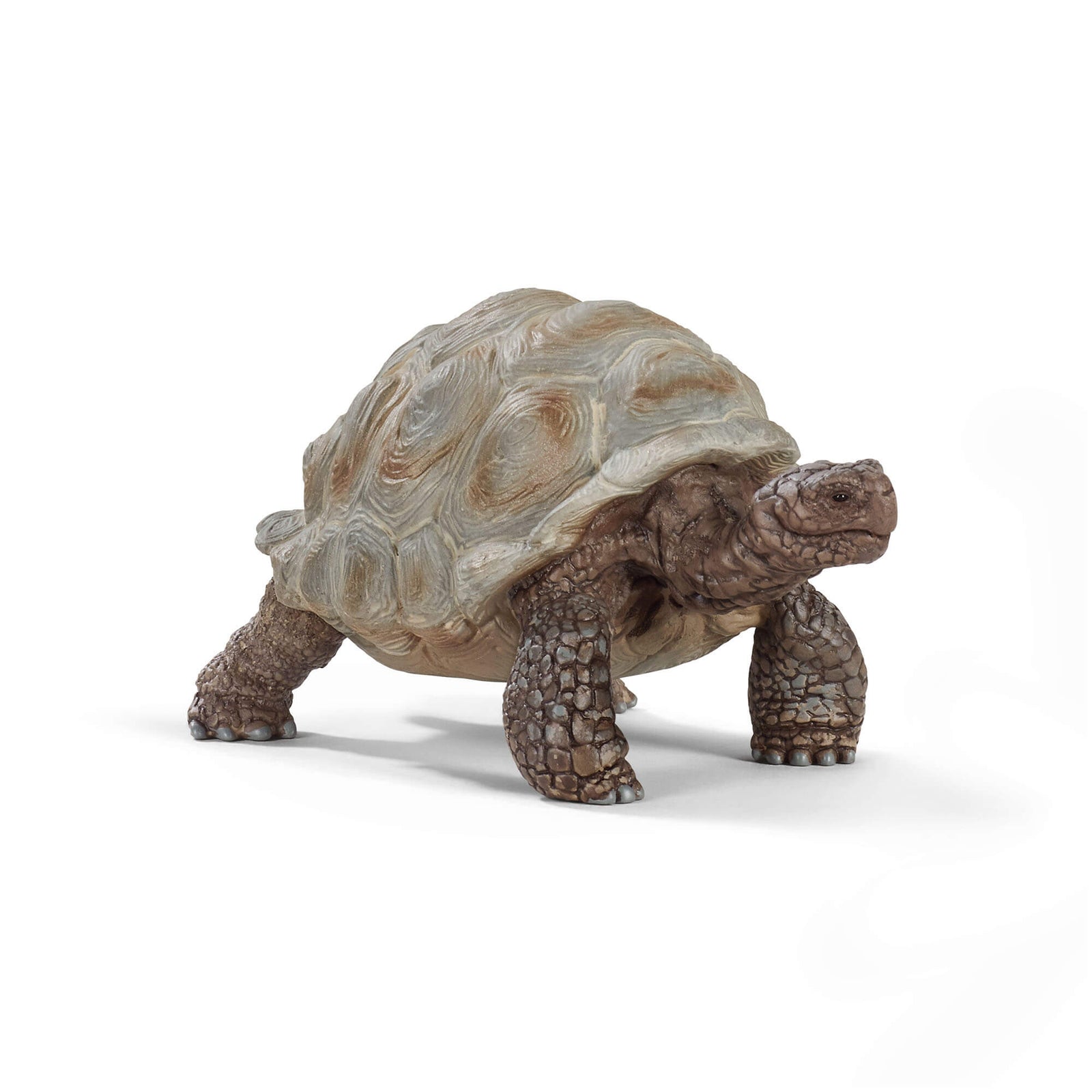 Schleich Wild Life Giant Tortoise Animal Figure