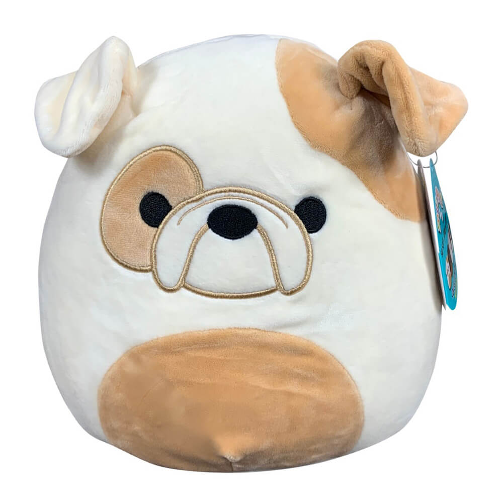 Squishmallows Dogs Brock 12