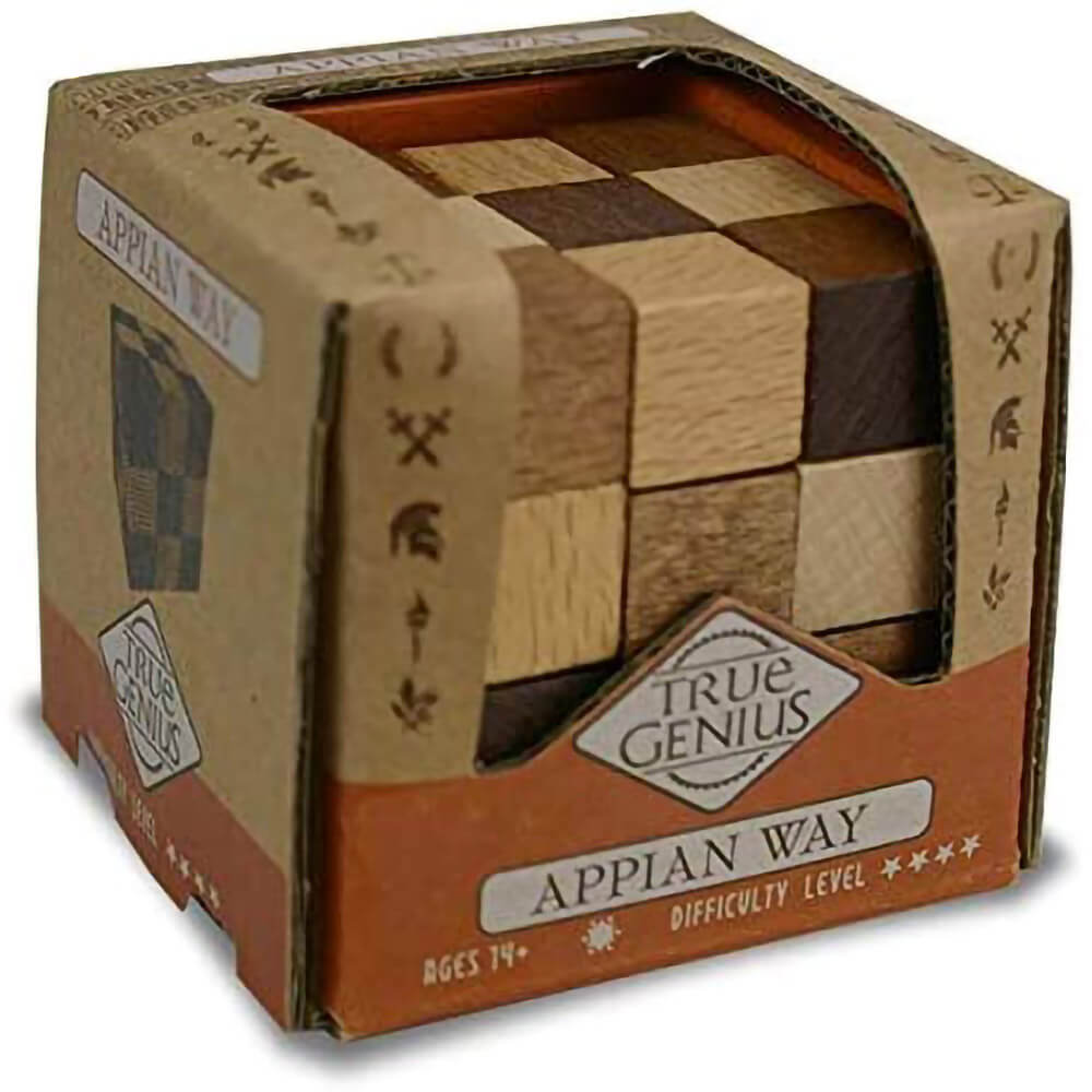 True Genius Appian Way Brain Teaser Puzzle